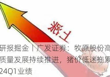 研报掘金丨广发证券：牧原股份高质量发展持续推进，猪价低迷拖累24Q1业绩