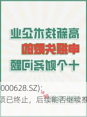 高新发展(000628.SZ)：
重大资产重组事项已终止，后续能否继续推进存在重大不确定
风险