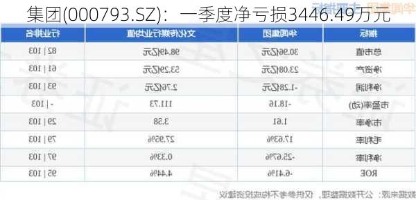 
集团(000793.SZ)：一季度净亏损3446.49万元