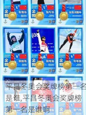 平昌冬奥会奖牌榜第一名是谁,平昌冬奥会奖牌榜第一名是谁啊