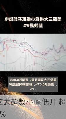 
三大指数小幅低开 超
脑跌超9%