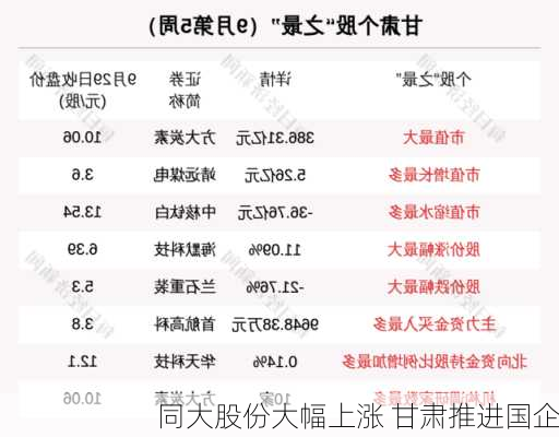 同大股份大幅上涨 甘肃推进国企
