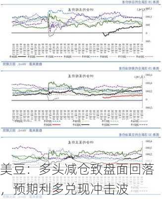 美豆：多头减仓致盘面回落，预期利多兑现冲击波