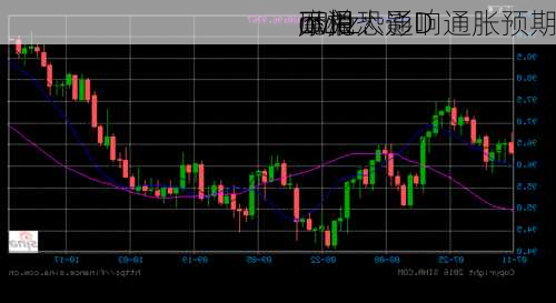 摩根大通D
idLe
ovitz：
元兑
下滑恐影响通胀预期