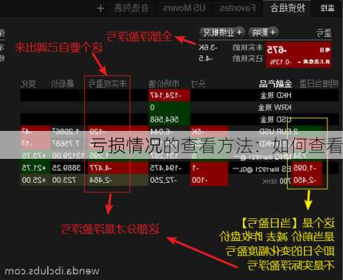 
亏损情况的查看方法：如何查看
亏损情况