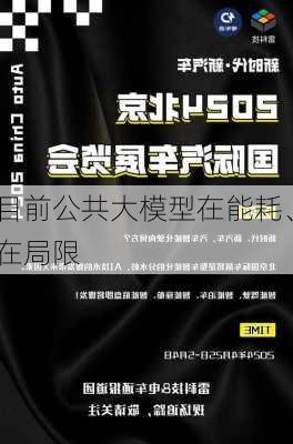 杨元庆：目前公共大模型在能耗、
保护等方面存在局限
