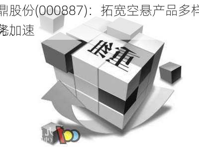 中鼎股份(000887)：拓宽空悬产品多样轻量化、
业务加速