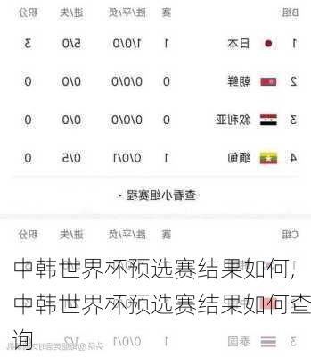 中韩世界杯预选赛结果如何,中韩世界杯预选赛结果如何查询