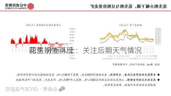 花生期货再现
回落 分析人士：关注后期天气情况