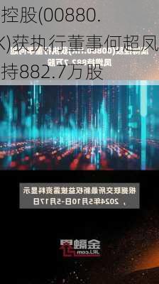 
博控股(00880.HK)获执行董事何超凤增持882.7万股