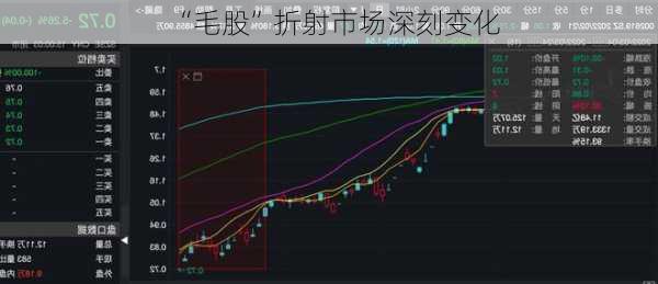 “毛股”折射市场深刻变化