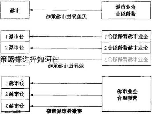 
策略探讨：如何在
市场中选择合适的
策略