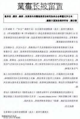 又有
董事长被留置