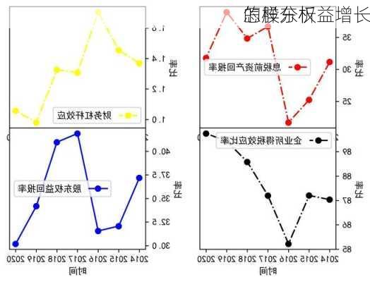 怎样分析
的股东权益增长