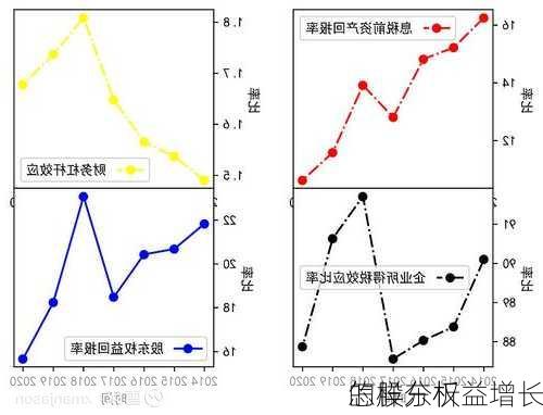 怎样分析
的股东权益增长