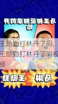 王励勤打林丹了吗,王励勤打林丹了吗视频