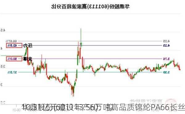 华鼎股份(601113.SH)：拟
10.31亿元建设年产6万吨高品质锦纶PA66长丝
