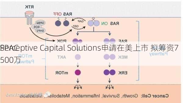 SPAC
Perceptive Capital Solutions申请在美上市 拟筹资7500万
