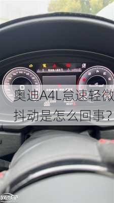 奥迪A4L怠速轻微抖动是怎么回事？