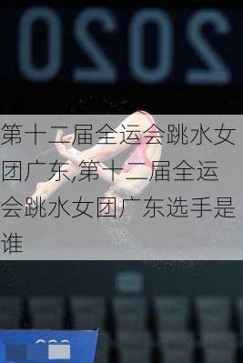 第十二届全运会跳水女团广东,第十二届全运会跳水女团广东选手是谁