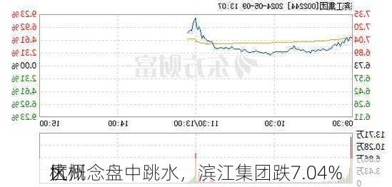 杭州
大
区概念盘中跳水，滨江集团跌7.04%