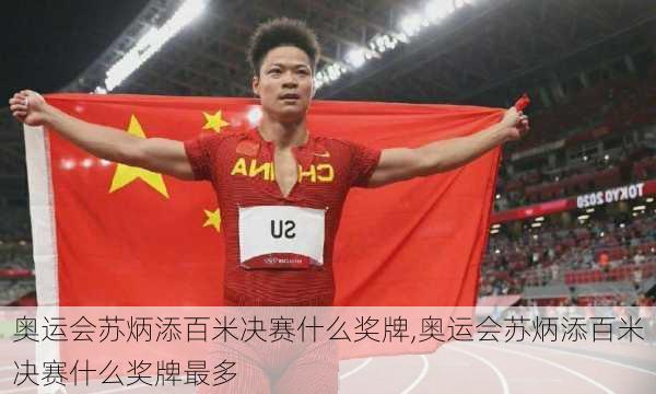 奥运会苏炳添百米决赛什么奖牌,奥运会苏炳添百米决赛什么奖牌最多