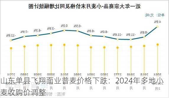 山东单县飞翔面业普麦价格下跌：2024年多地小麦收购价调整