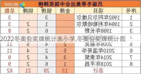 2022冬奥会奖牌统计表小学,冬奥会奖牌统计图