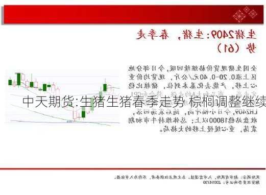 中天期货:生猪生猪春季走势 棕榈调整继续
