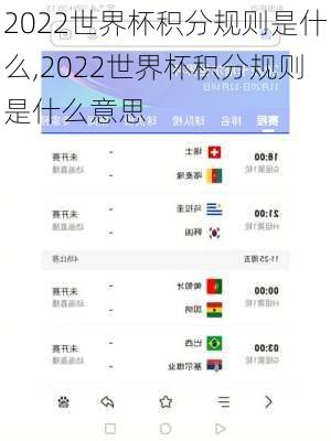 2022世界杯积分规则是什么,2022世界杯积分规则是什么意思