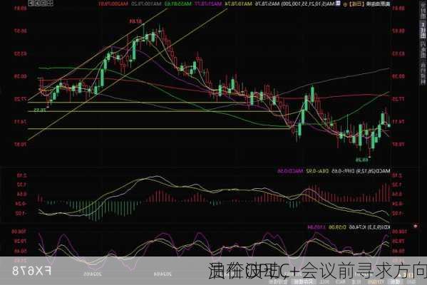 油价波动，
员在OPEC+会议前寻求方向