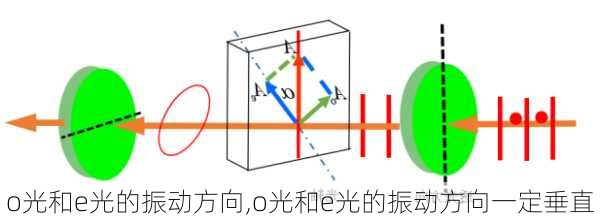 o光和e光的振动方向,o光和e光的振动方向一定垂直