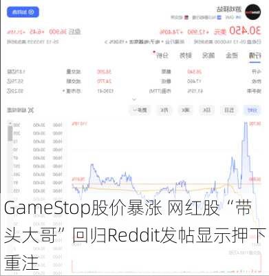 GameStop股价暴涨 网红股“带头大哥”回归Reddit发帖显示押下重注