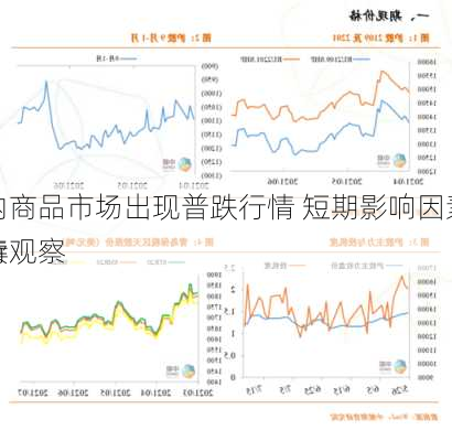 国内商品市场出现普跌行情 短期影响因素的持续
有待观察