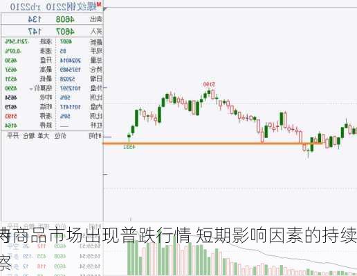 国内商品市场出现普跌行情 短期影响因素的持续
有待观察