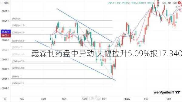 翰森制药盘中异动 大幅拉升5.09%报17.340
元