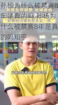 孙杨为什么被禁赛8年是真的吗,孙杨为什么被禁赛8年是真的吗知乎