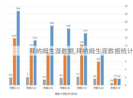 拜纳姆生涯数据,拜纳姆生涯数据统计