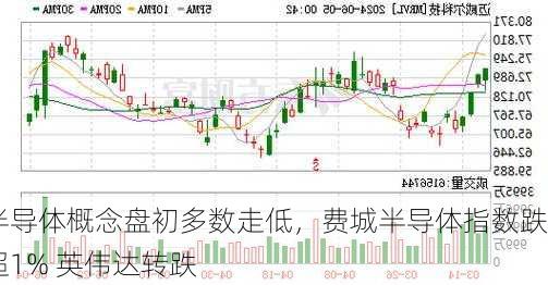 
半导体概念盘初多数走低，费城半导体指数跌超1% 英伟达转跌