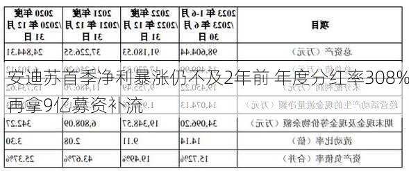 安迪苏首季净利暴涨仍不及2年前 年度分红率308%再拿9亿募资补流