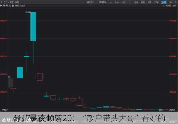 6月7成交额前20：“散户带头大哥”看好的
驿站暴跌40%