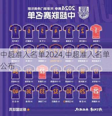 中超准入名单2024,中超准入名单公布