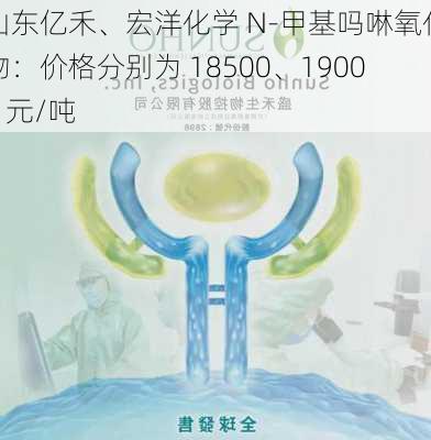 山东亿禾、宏洋化学 N-甲基吗啉氧化物：价格分别为 18500、19000 元/吨