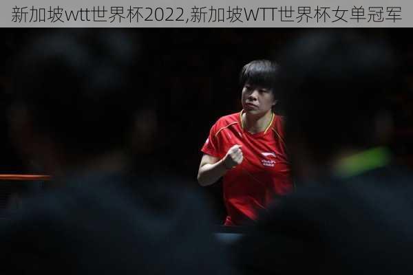 新加坡wtt世界杯2022,新加坡WTT世界杯女单冠军