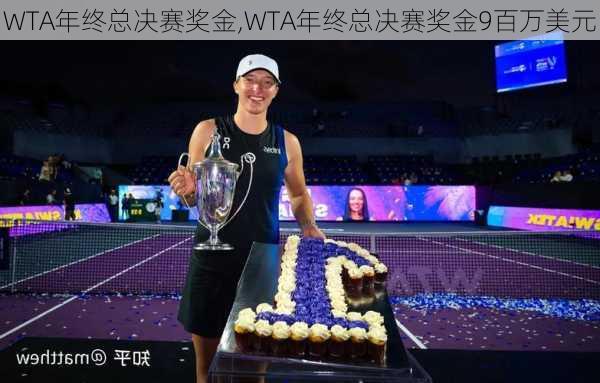 WTA年终总决赛奖金,WTA年终总决赛奖金9百万美元