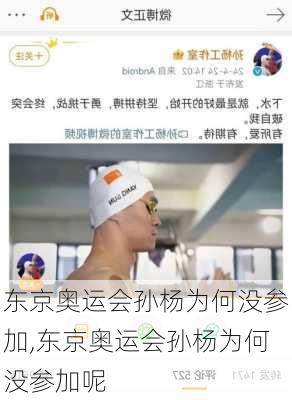 东京奥运会孙杨为何没参加,东京奥运会孙杨为何没参加呢