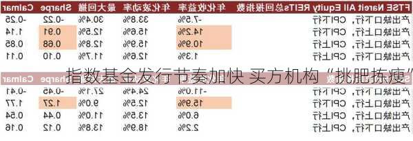 指数基金发行节奏加快 买方机构“挑肥拣瘦”