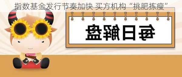 指数基金发行节奏加快 买方机构“挑肥拣瘦”