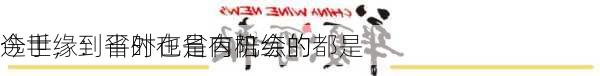 今世缘：平时在省内陪练的都是
选手，到省外也是有机会的