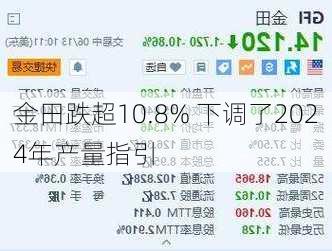 金田跌超10.8% 下调了2024年产量指引